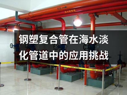 鋼塑復合管在海水淡化管道中的應用挑戰(zhàn)